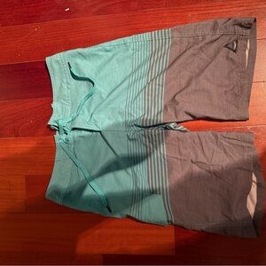 Trinity Aqua and Gray Boardshorts